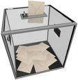 elections